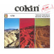 Cokin WP1R170 Polfilter rot/grün P170 kompatibel mit Cokin P-Serie Filterhalter-01